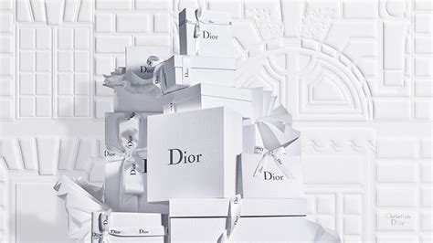 website dior